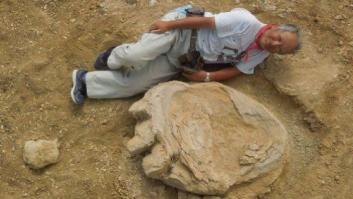 Hallan en desierto de Gobi, en Mongolia, una de las mayores huellas de dinosaurio del mundo