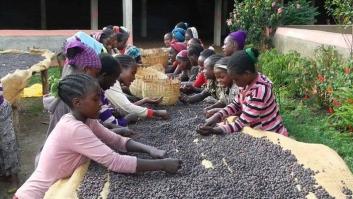 El Comercio Justo y la mayoría de certificaciones no son justos