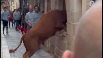 Marijo Torres, la dueña de la panadería, cuenta cómo vivió la entrada de una vaca en su local