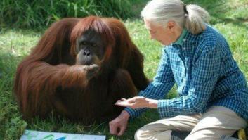 Este es el conmovedor abrazo que ha inundado de amor las redes sociales: "Fue un ángel en la Tierra"