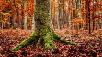 París re-tale: el espíritu de la ciudad a través de sus letreros