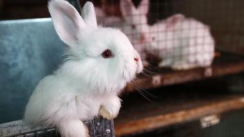 'La lujuria indultada'