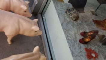 Terneros y cerdos más viajados que Phileas Fogg