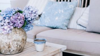 15 plantas de interior con flor en otoño