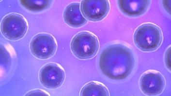 Esto es lo que nos traerá la ciencia en 2015