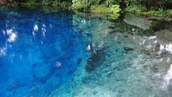 Este momento en una piscina de Galicia opta ya a ser historia de la televisión