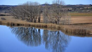 Culpan a los turistas madrileños del bajo caudal del Tajo a su paso por Toledo