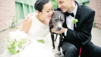 La emoción de un niño al descubrir que "dos princesas" pueden casarse