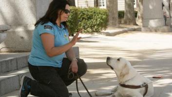 La foto de este perro en Disneyland es lo más adorable que verás hoy