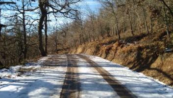 'Auto'pistas en el paraíso de los osos de Cantabria