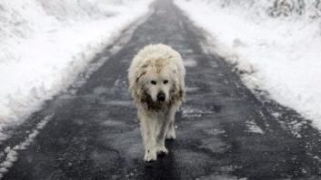 Madrid se prepara ante la previsión de nevada