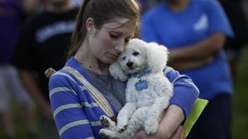 PACMA denuncia a quienes dejaron morir a los animales en la crecida del Ebro