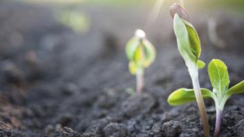 La fertilidad de la resistencia: es el momento de priorizar la agroecología