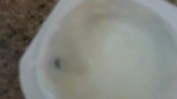 Preocupación por lo que se encontró una mujer de La Línea (Cádiz) en el yogur de su hija