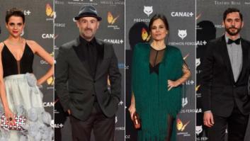 Los Premios Feroz 2015 encumbran a 'La isla mínima' (FOTOS)