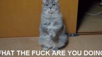 El cachondeo de Twitter al papelón de Antonio Hernando