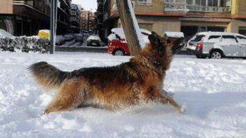Nieve en España (FOTOS)