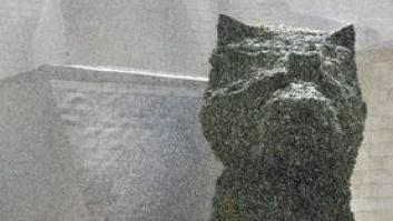 Las imágenes que deja la ola de nieve sobre la Península