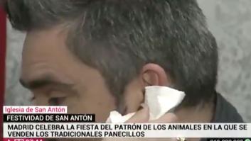 Un reportero de Telemadrid termina sangrando en directo tras ser atacado por un perro