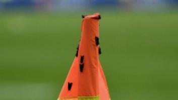 Invitadas inesperadas en la final de la Eurocopa: las polillas