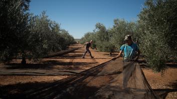 Lidl enfada a los agricultores con su última campaña: "Es indignante. No se pueden mofar de eso"