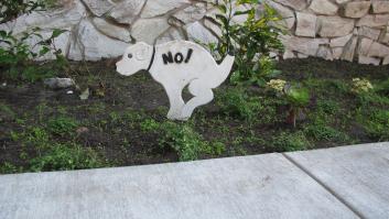 La consecuencia de no recoger las cacas de los perros que nunca te habías planteado