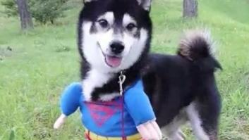 Esto nos ha alegrado el lunes: no vas a poder dejar de mirarlo