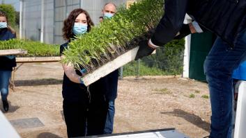 Ayuso habla de "mil siglos de cultura en español" y Anabel Alonso irrumpe con este mensaje