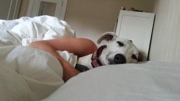 El sugerente dibujo de una medusa que está dando pie a los comentarios más calientes