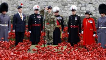 Amapolas en la solapa