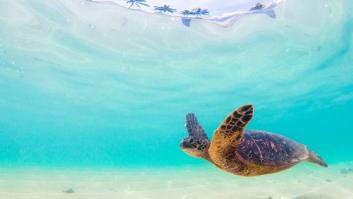 Cinco buenas razones para ralentizar el ritmo de vida