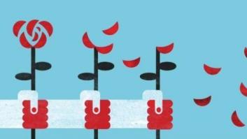 Esto no es lo que parece