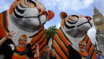 Marchas en ciudades de todo el mundo contra el cambio climático (FOTOS)