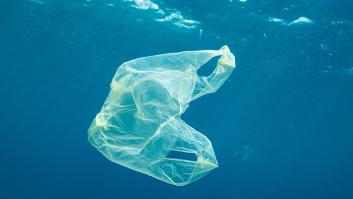 Crean una enzima que devora en días los desechos plásticos que se acumulan en la naturaleza