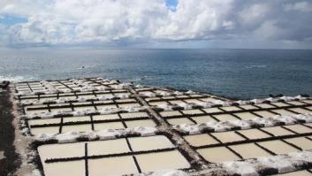 Sellada de sal y vestida de fuego: La Punta de Fuencaliente