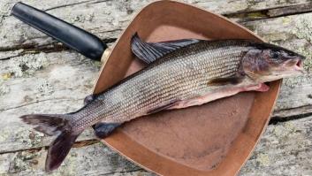 Ser vegetariano, ¿es tan bueno para el planeta como lo pintan?