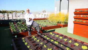 Un huerto urbano en el cielo de Madrid