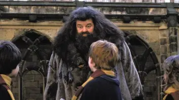 La teoría que demuestra que Hagrid, de 'Harry Potter', no es tan bueno como pensabas
