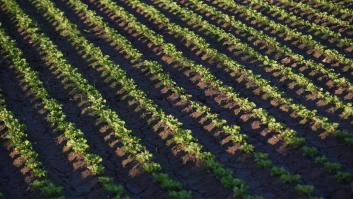 ¿Una política hacia el desastre?