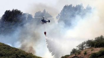La recuperación completa de la zona del incendio en Gran Canaria tardará "al menos 20 años"