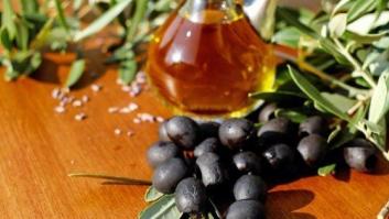 Descubren que la piel de las aceitunas reduce los tumores intestinales