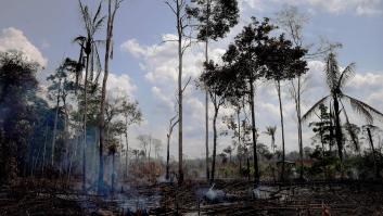 Incendios en el Amazonas: la tragedia de lo que no se ve