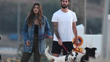 Unos jóvenes fuerzan a fumar a un gato e indignan a las redes