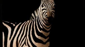 'I Salon du Connaisseur', un encuentro con el arte de todos los tiempos