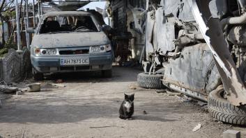Rusia vuelve a asaltar Azovstal tras la salida del convoy de la ONU