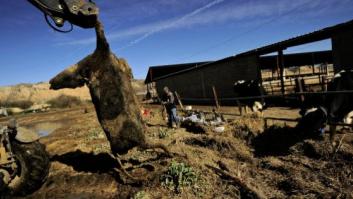 100 millones de euros en ayudas para los daños por las inundaciones