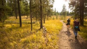 Once lugares que todo introvertido debería visitar