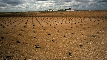 España agota este jueves los recursos naturales disponibles para 2022 y entra en déficit ecológico