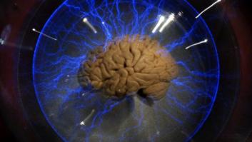 Usar el cerebro es el mejor modo de prevenir enfermedades cardiovasculares