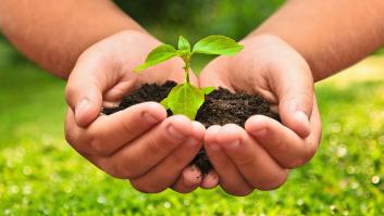 España: Objetivos de Desarrollo Sostenible un año después